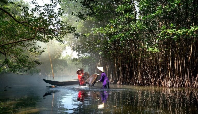 When Professional Southeast Asia travel planning Planning Makes Trips Easier